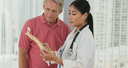 Picture of a female Physician wearing a medical coat and a stethoscope around her neck. She is holding a Spine Bone.